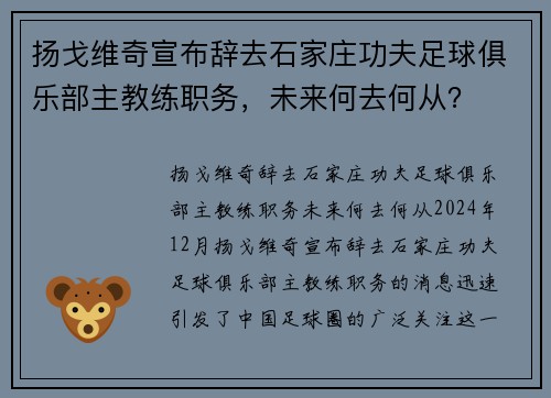 扬戈维奇宣布辞去石家庄功夫足球俱乐部主教练职务，未来何去何从？